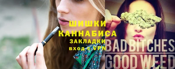 хмурый Грязовец