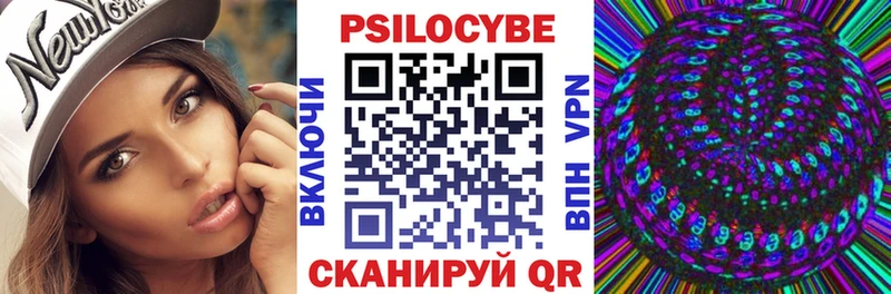 где купить   Краснокаменск  мориарти формула  Псилоцибиновые грибы Psilocybe 