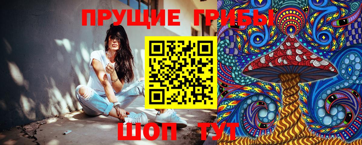 Галлюциногенные грибы Psilocybine cubensis  наркошоп  Краснокаменск  Вход с VPN 